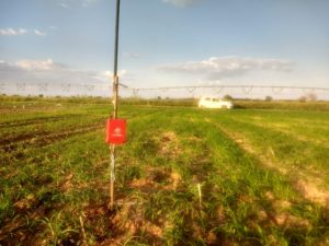 Sensor de umidade do solo para manejo de irrigação