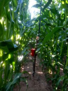 Sensor de umidade do solo, sensores agrícolas